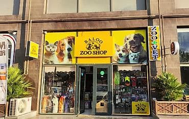 Satış: Baloo ZooVet – Baytar hekim işe goturulur, Resmi qeydiyat aparilir — 1