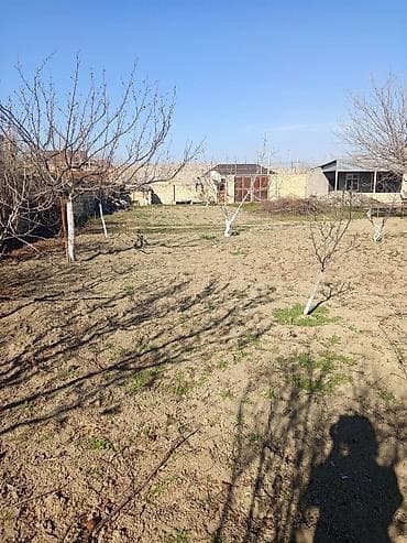 xocasen kiraye evler: Mingəçevir, 1000 kv. m, 1 otaqlı, Hovuzsuz, Su — 4