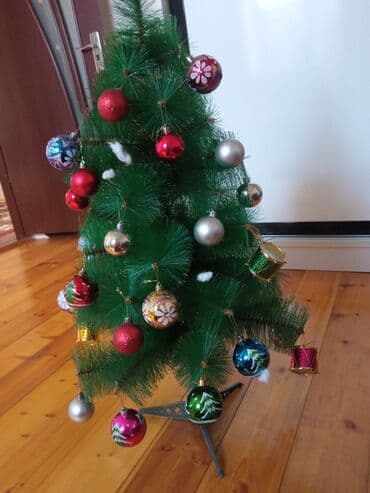 avokado ağacı: Yolkanın hundurluyu. 95 sm üstünde iqruşkalarla birlikdə bele — 8