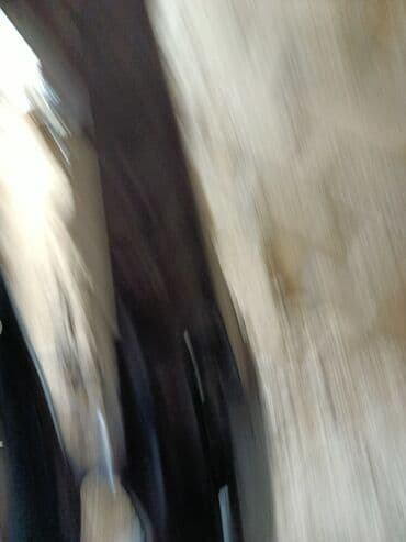 mercedes on bufer: Ön, Mercedes-Benz 220, Almaniya — 5