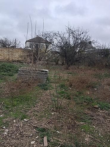 şıxovda torpaq sahəsi: 4 sot, Tikinti, Mülkiyyətçi, Kupça (Çıxarış) — 3