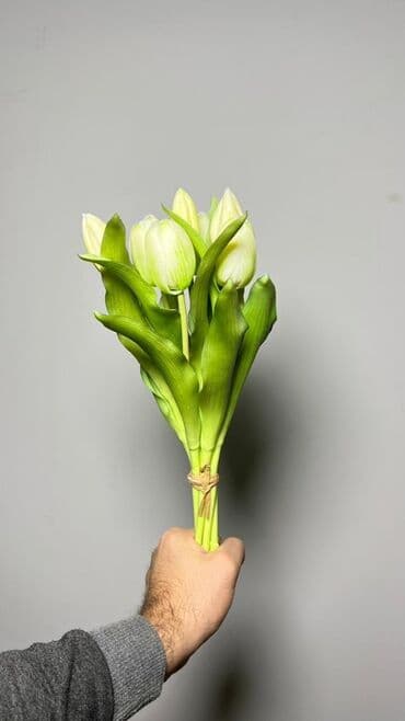 tülpan gülü haqqında: Məhsul: Tülpan gulleri - Rənglər: Şaftalı-narıncı və ağ tonlarda — 3