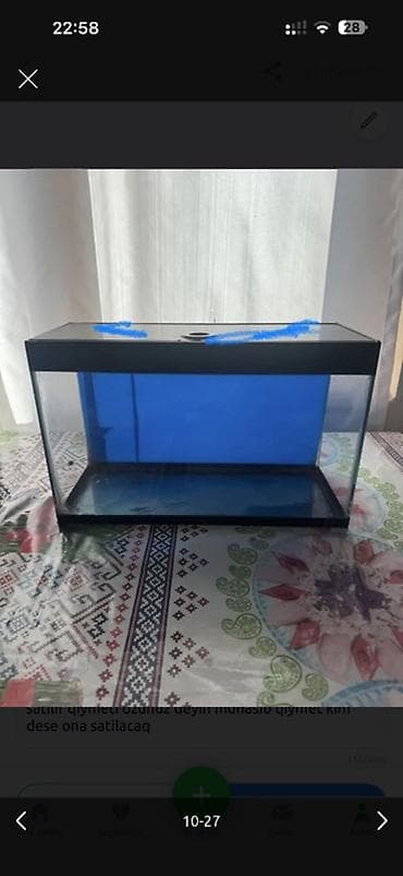 Akvaryum – işlenmis 2 edetdi biri 15 Azn biride 30 Azn 2 sini bir — 3