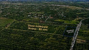 25 sot, Tikinti, Mülkiyyətçi, Kupça (Çıxarış)