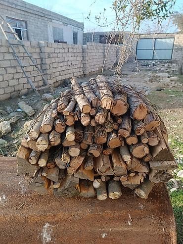 odun doqrayan: ODUN, MEŞƏ ODUNU KÖMÜR KAMİN ODUNU Qablaşdırılmış odun və kindling — 10