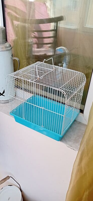 sumqayit qəfəs: Qi̇ymət sondu !!! — 2