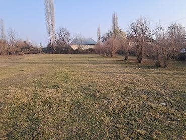 cefer xendan kucesi: 25 sot, Mülkiyyətçi — 9