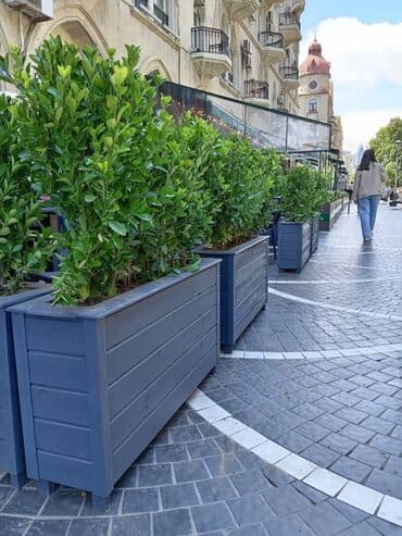 dekorativ otaq bitkiləri: Bu taxda dipçekin ölçusu 100x30x55 Bu standart alinan ölçudur — 1