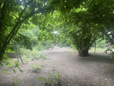 купить дом в баку хырдалан: 3 соток, Для бизнеса, Собственник, Купчая, Договор — 1