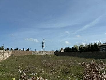 8 sot, Tikinti, Mülkiyyətçi, Kupça (Çıxarış) — 2