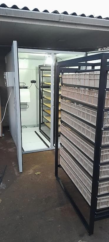 İnkubatorlar: Azərbaycanda inkubator Aparatlarinin Rəsmi satiş mərkəzi Rasif — 8