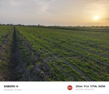 сабирабад: 403 соток, Для сельского хозяйства, Купчая — 4