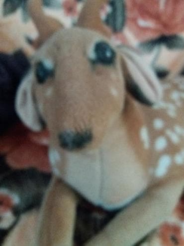 gl ltd baku: Maral iridir — 2