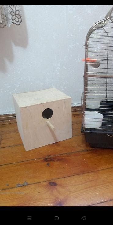 qəfəs: 📍Təcili📍Öncelikle her kese salam lazım olmadiği uçun maya deyerinden — 6