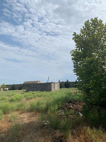 tecili ev satilir 2020: 37 sot, Maklerlər narahat etməsin, Kupça (Çıxarış) — 3