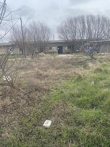 icare ofis: Satışa uyğun təsərrüfat/istehsalat sahəsi - Tikili: Bir mərtəbəli — 3