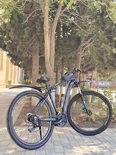 bicycle stargazer: Yeni Şəhər velosipedi Start, 29", sürətlərin sayı: 24, Ünvandan götürmə — 6