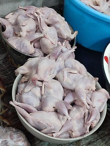 Turşular: Məhsul: Təmizlənmiş bıldırcın Təsvir: - Tam təmizlənmiş, içi — 6