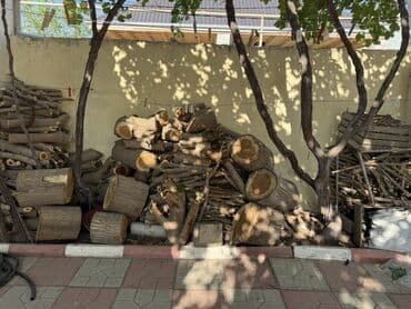 двери межкомнатные баку: Odun yanacağı – müxtəlif ölçülərdə doğranmış və budaqlanmış ağac — 1