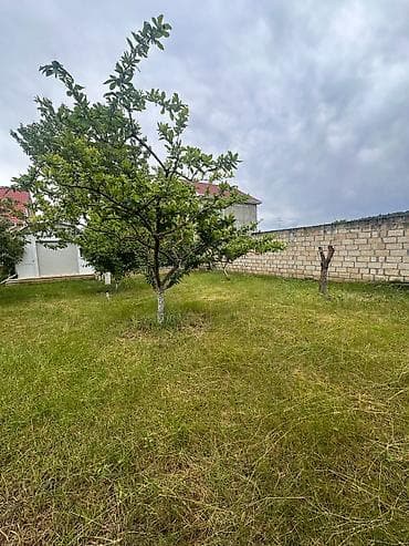 Bağ evlərinin satışı: Bakı, 1200 kv. m, 7 otaqlı, Hovuzsuz, Su — 3