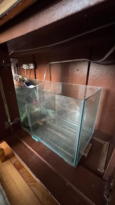 Heyvanlar üçün mallar: Böyük ölçülü şkaflı akvarium komplekti. Akvarium 500 litirlik satılır — 5