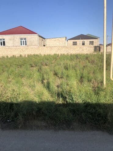 ramana gülçülük sovxozu: 10 sot, Kənd təsərrüfatı, Mülkiyyətçi, Kupça (Çıxarış) — 1