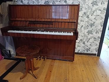 gitara akustik: Piano, Belarus, Akustik, İşlənmiş, Ünvandan götürmə — 1