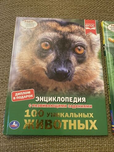книга по азербайджанскому языку 6 класс: Книга новая.Deaktiv olunan geyimlər aktivdi — 2
