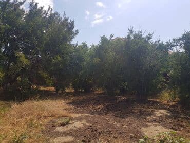 dübəndi torpaq: 23 sot, Tikinti, Makler, Kupça (Çıxarış) — 6