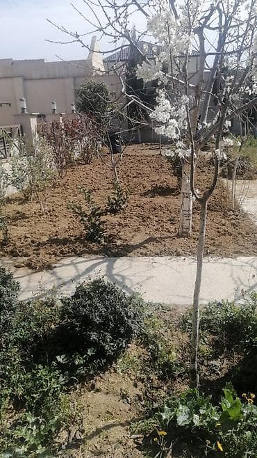 agdasda tecili satilan evler: Yasamal, 21 kv. m, 1 otaqlı, Hovuzsuz, Qaz, İşıq, Su — 2