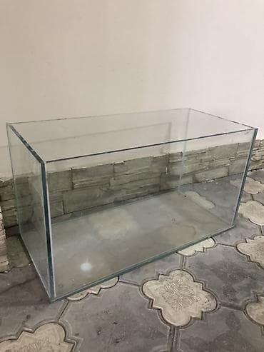 akva ayaqabılar: Şüşə akvarium - Material: qalın, şəffaf şüşə (yapışdırma xətləri — 1