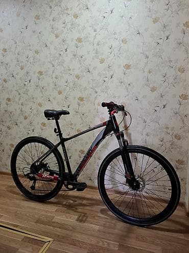 stelsport velosiped: Şəhər və yüngül ofroad üçün universal velosiped. Tam işləkdir. Bütün — 3