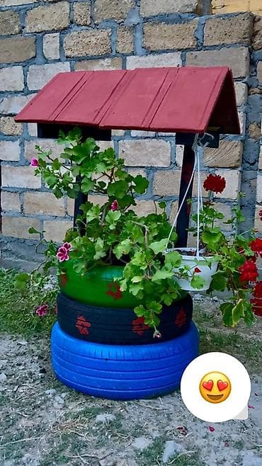 etotu bitkisi: Bağ üçün dekorativ “quyu” formalı gülyeti/kompozisiya - Material — 1
