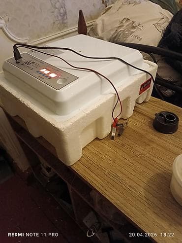 plak satışı: Çin, Tam avtomat — 7