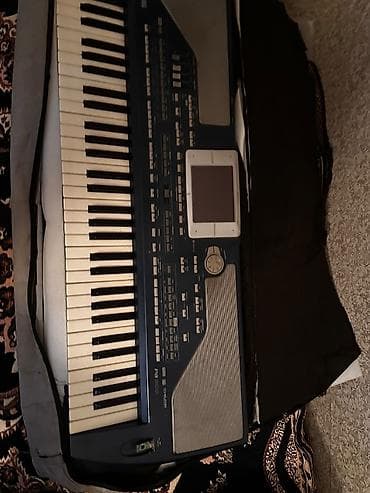 Elektrik nəqliyyatı: Sintezator, Korg, Yeni — 2