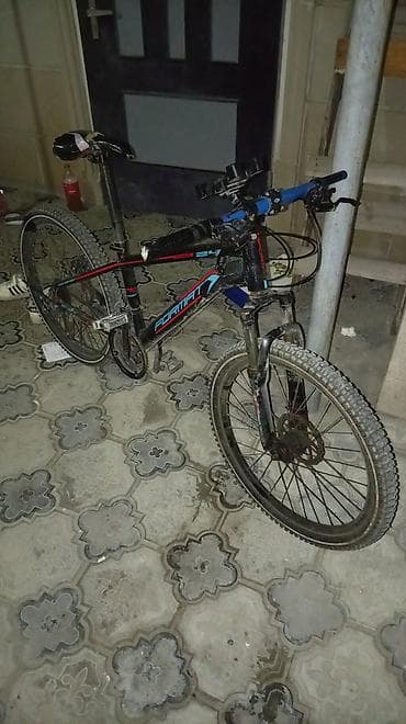 Format 24 velosiped - Növ: Dağ/MTB - Çərçivə: yüngül alaşımlı