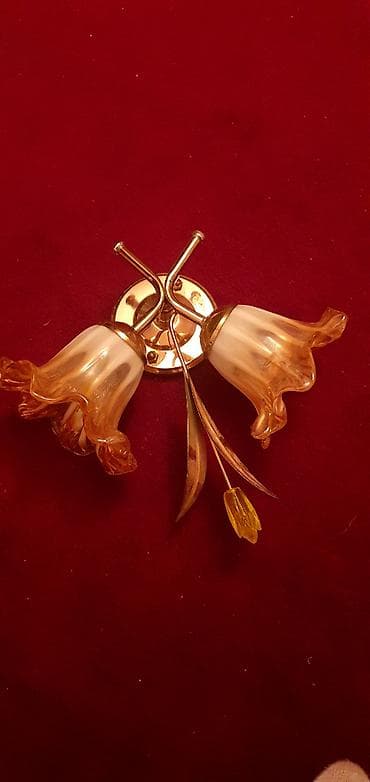 lan kabel satilir: Dekorativ ikiqablı divar bra - Stil: klassik/retro, çiçək formalı — 2