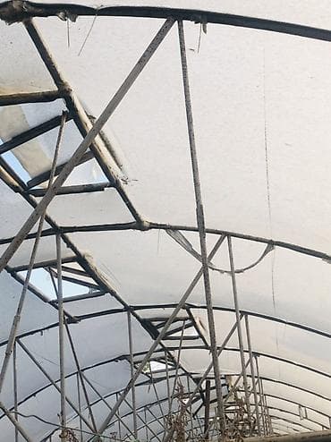 devedabani bitkisi: Məhsul: Metal karkaslı istixana konstruksiyaları (sökülüb-aparmaq — 2