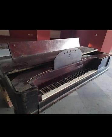 Antik kuyruklu piano – Wills. Pethmüller & Sohn, Göttingen - — 7