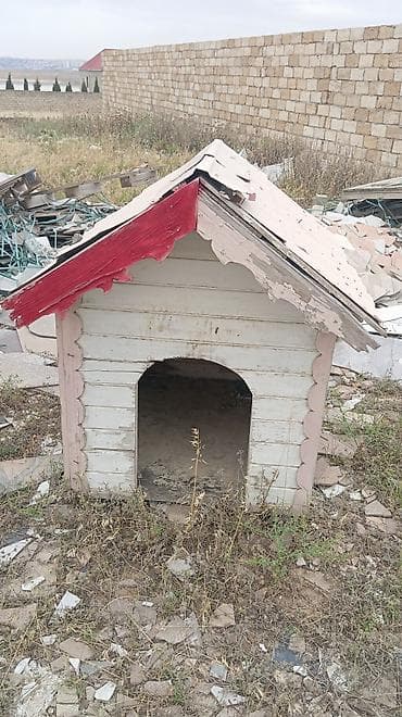 it cinsi: Taxta it evi - Material: taxta lövhələr, ikiqat maili dam — 1