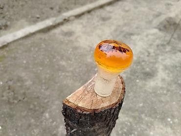 opel motoru satilir: Salam. Köhnə maşın üçün skors başlığı dır. Qədimidir #vaz sovet qaz — 4