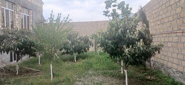 дешевые дачи в баку аренда: Gəncə, 610 kv. m, 6 otaqlı, Hovuzsuz, Kanalizasiya — 9