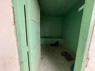 makler gence: Pirşağı qəs. 3 otaqlı, 8 kv. m, Təmirsiz — 9