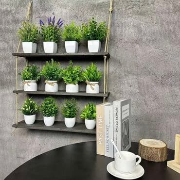 dekarativ guller: 🌸 İstədiyiniz dibçəyi, istədiyiniz ölçüdə yığırıq! 🏡 Evlər, ofislər — 6