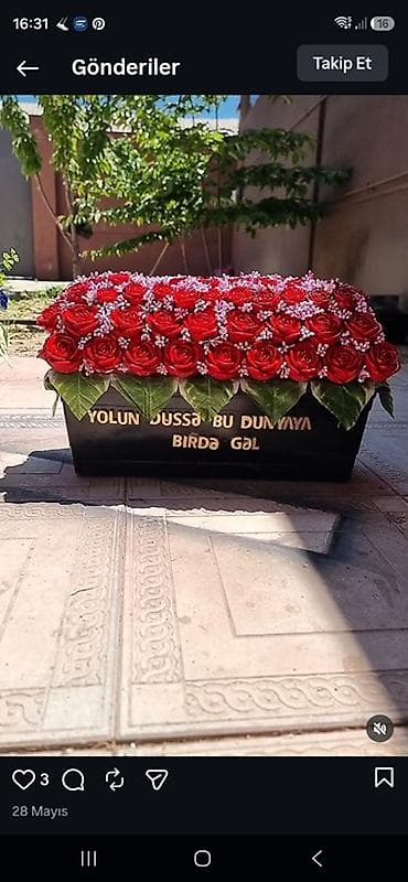 Məzarüstü dekorativ daş güllər 
Ağ və qara dibçəkdə