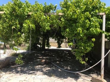 недвижимость в азербайджане купить: Баку, Бузовна, 650 м², 7 комнат, С бассейном, Артезианский колодец, Канализация, Газ — 13