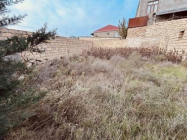 4 sot, Tikinti, Mülkiyyətçi, Kupça (Çıxarış) — 6