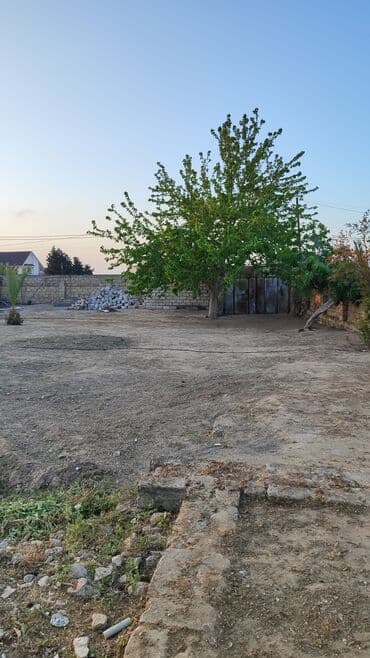 xacmaz dasinmaz emlak: 9 sot, Tikinti, Müqavilə — 2