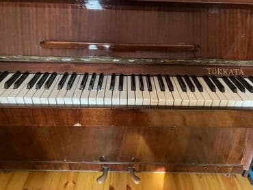 musiqi aletleri sintezator: Piano, Roland, Akustik, İşlənmiş, Ünvandan götürmə — 3