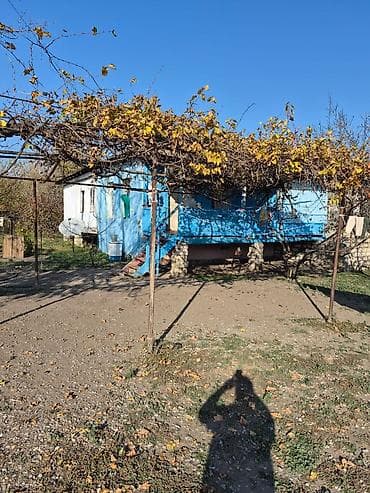 samux rayonu: 14 sot torpaq sahesinin içinde yaşayışlı ev köhnə tikili 2yataq otaq 1 — 3
